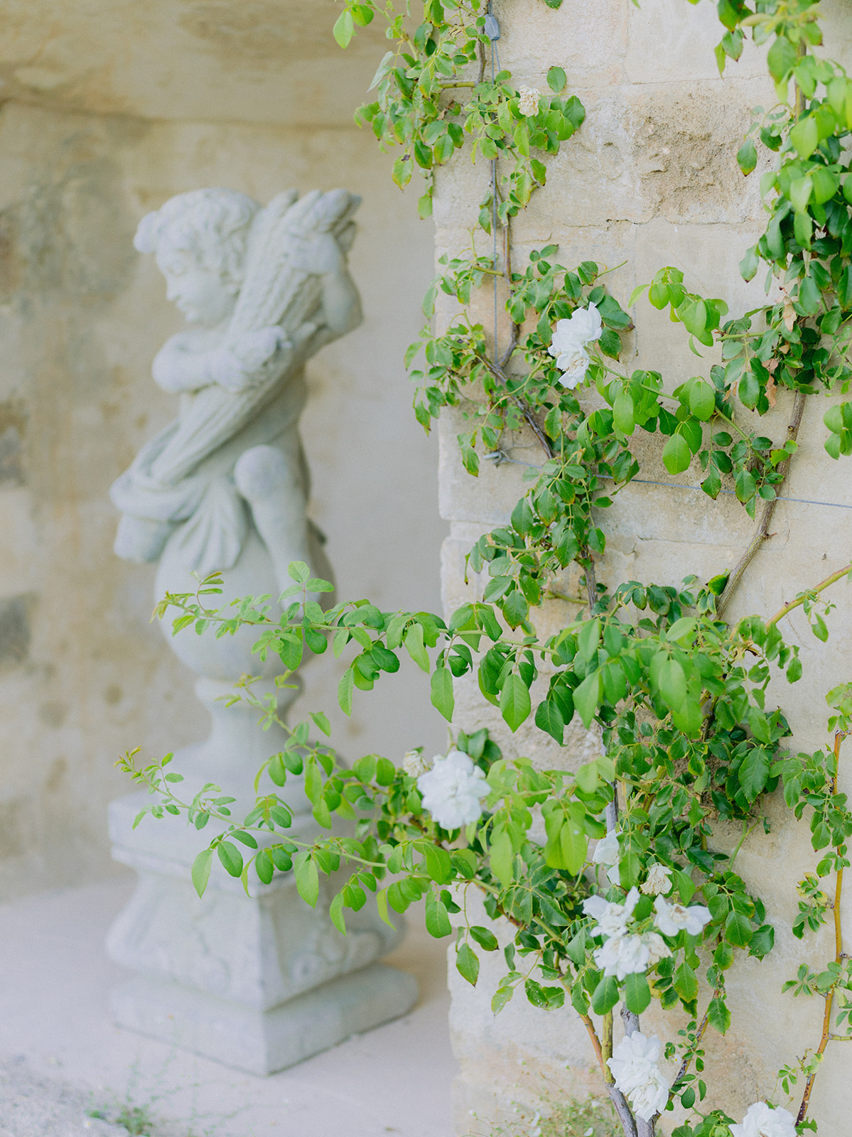 garden of the chateau de la gaude